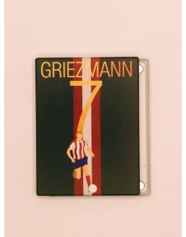 Boxplus Replacement magnet panel GRIEZMANN