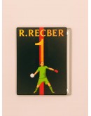 Boxplus Replacement magnet panel R.RECBER
