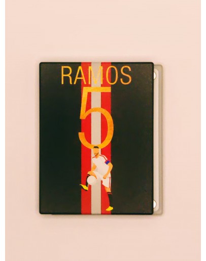 Boxplus Replacement magnet panel RAMOS